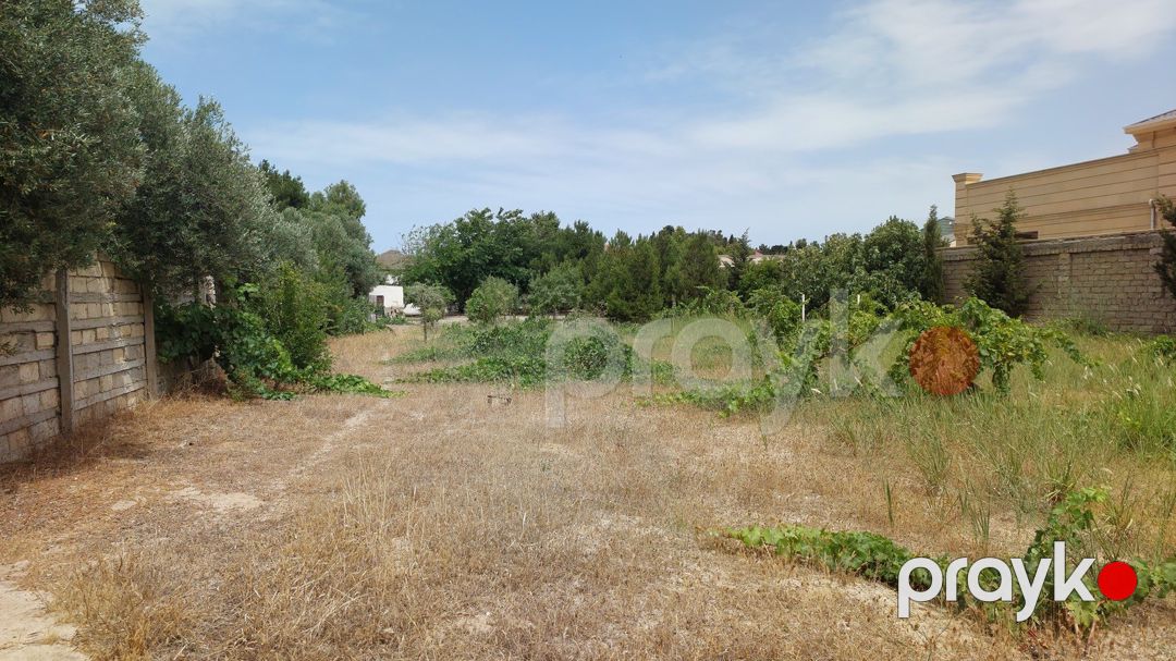 Satılır torpaq 12.5 sot — Torpaq, Bakı (7)