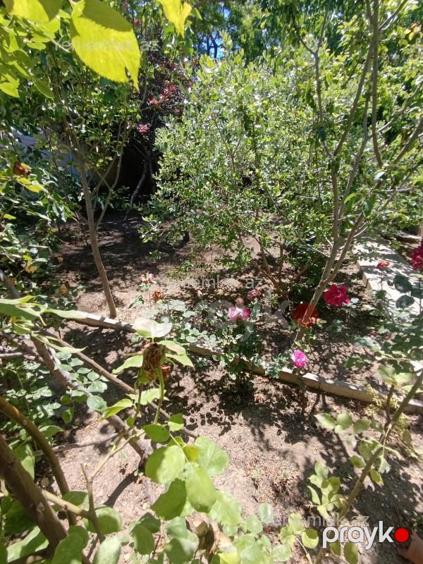 Satılır 3 otaqlı Həyət evi / Villa, 80 m², Sabunçu rayonu — Ev, villa, Bakı (7)