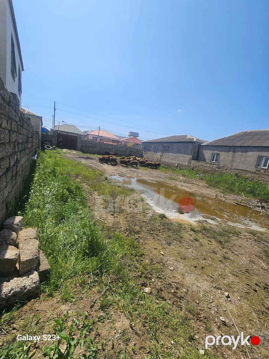 Satılır torpaq 7 sot — Torpaq, Bakı (3)