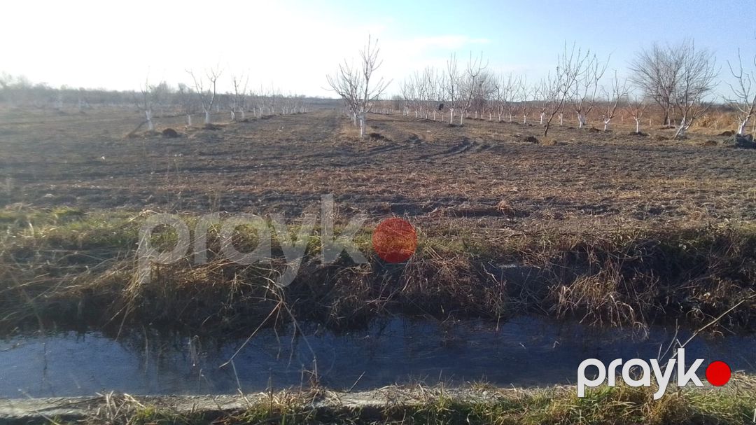 3400 sot torpaq sahəsi, Ağdaş r — Torpaq, Ağdaş (10)