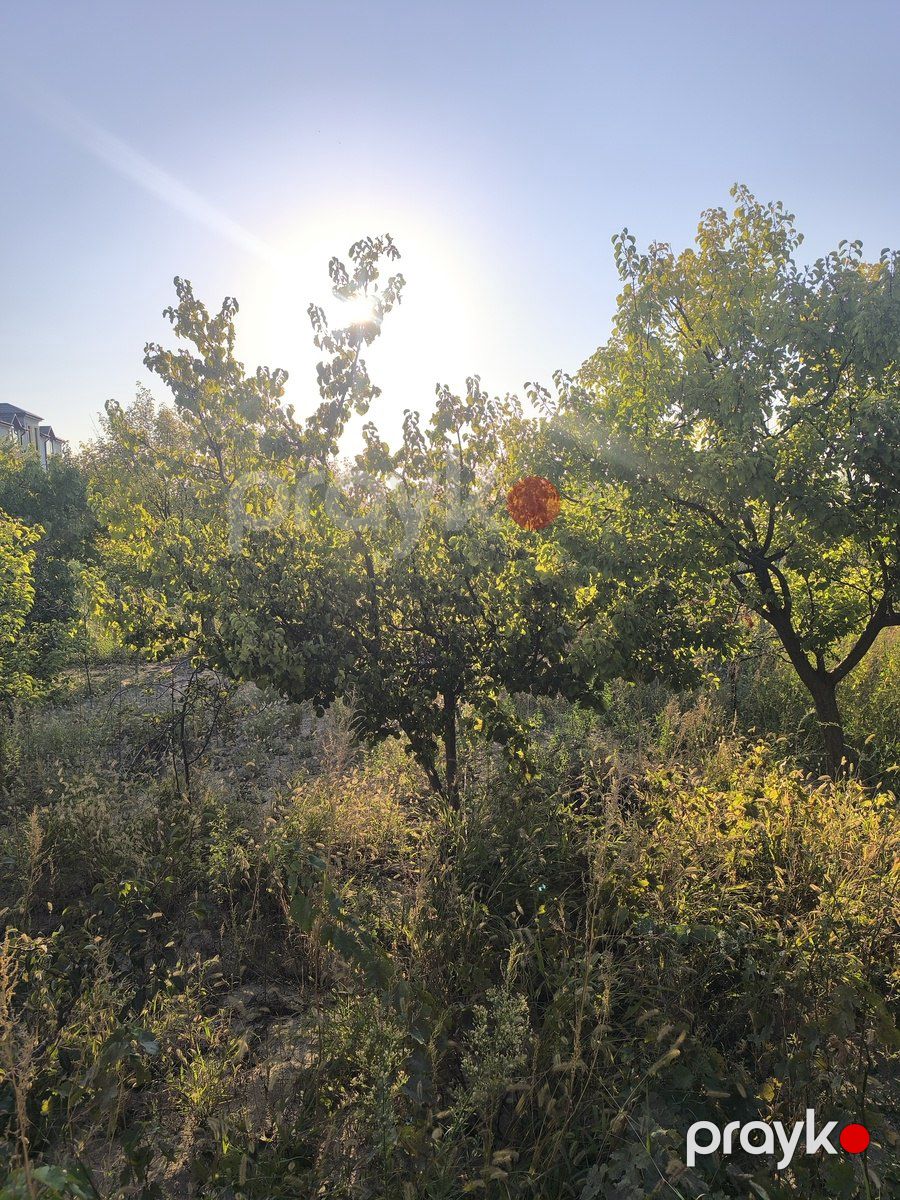Satılır torpaq 2 sot — Torpaq, Bakı (6)