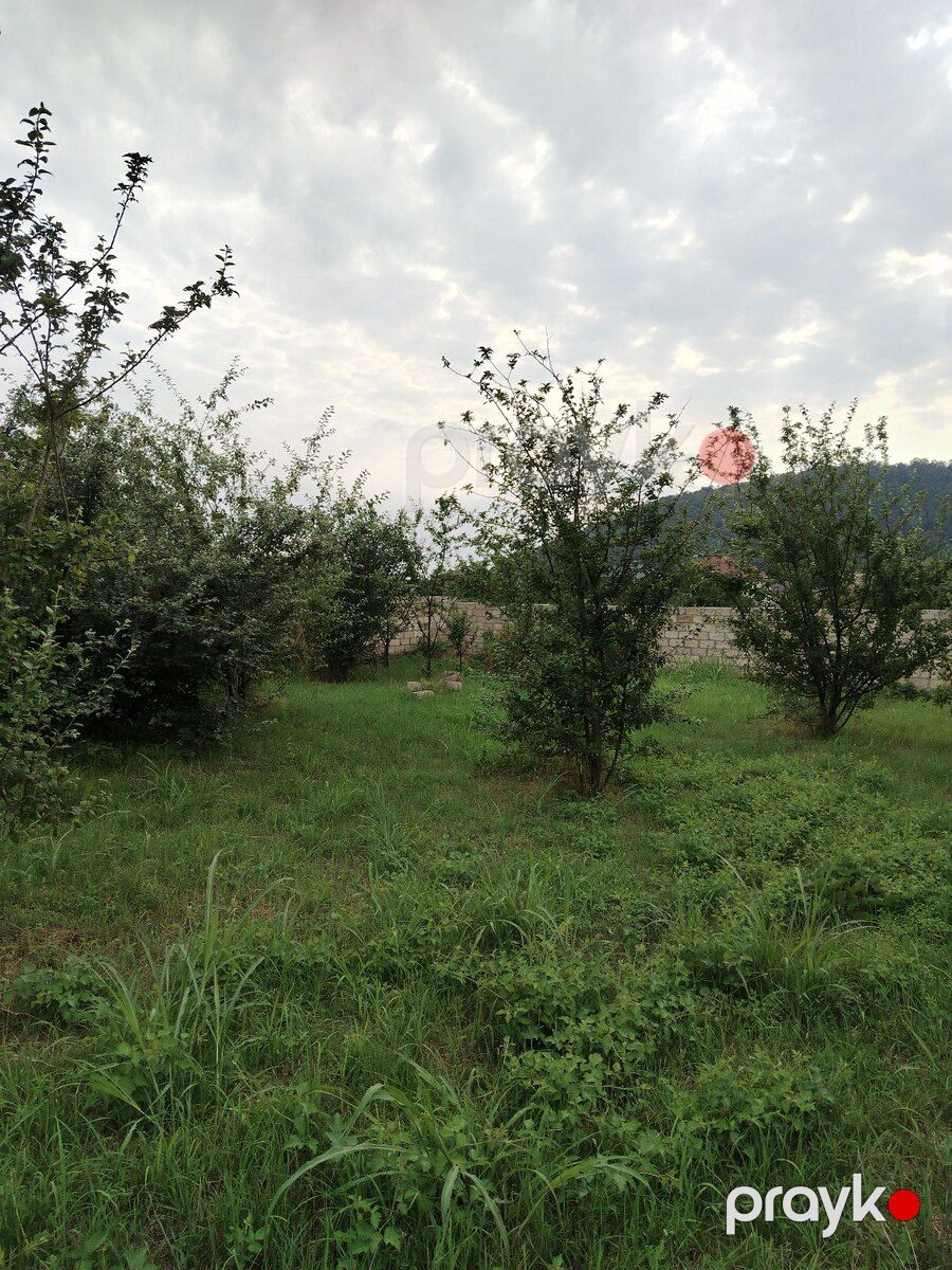 8 sot torpaq sahəsi, Qəbələ r — Torpaq, Qəbələ (5)
