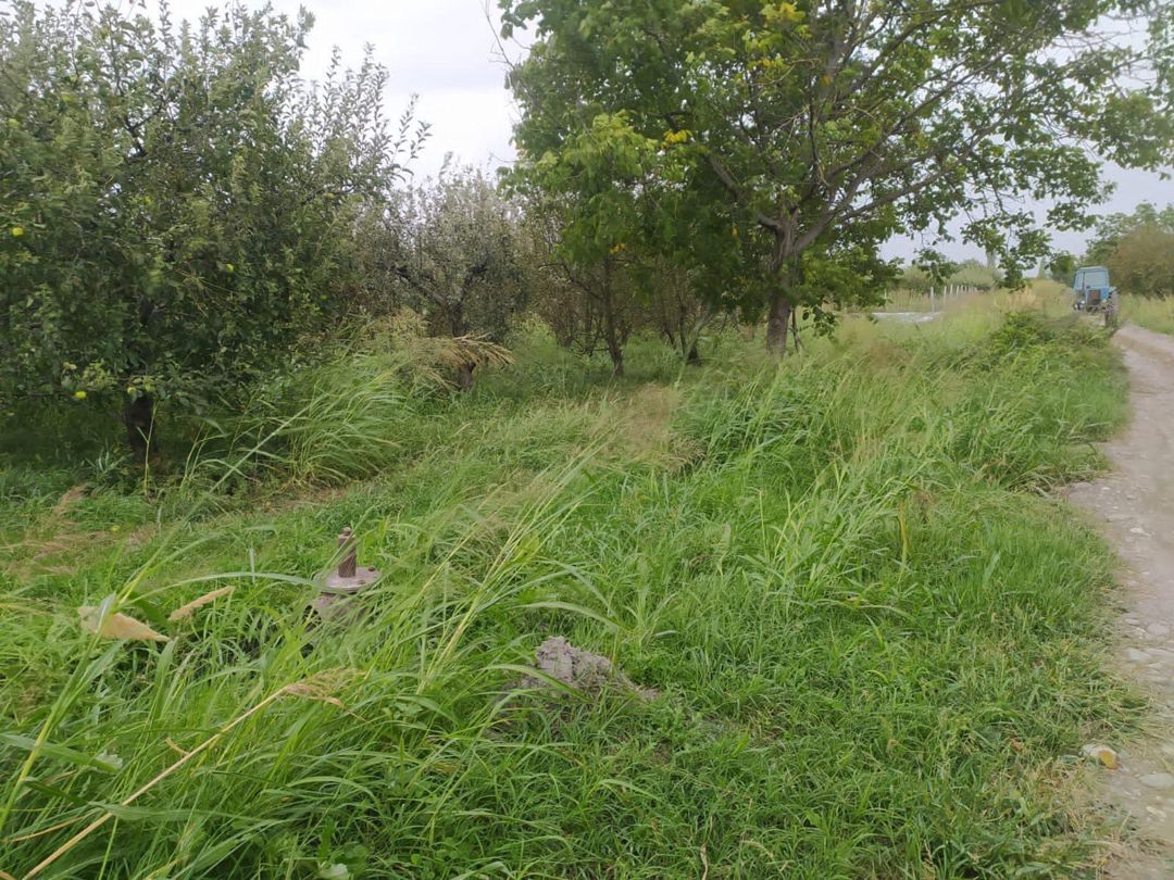 90 sot torpaq sahəsi, Quba r — Torpaq, Quba