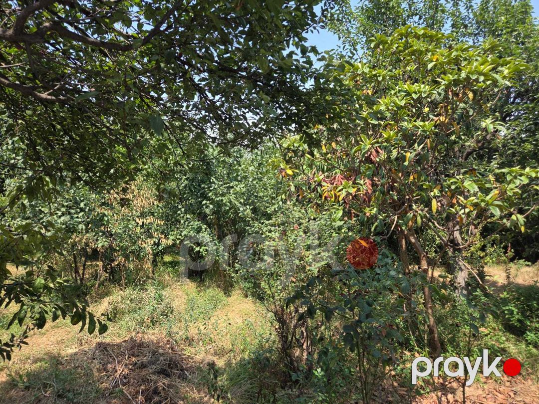Satılır 4 otaqlı həyət evi/bağ evi 200 m² — Ev, villa, Gəncə (8)