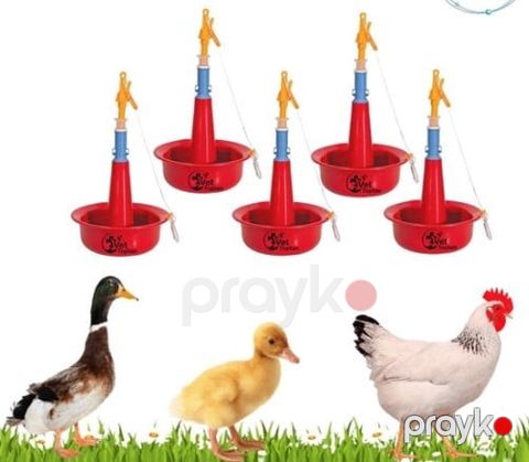 Quşlar üçün avtomatik su qabı, plastik, qırmızı və sarı prl_0396 — Bakı