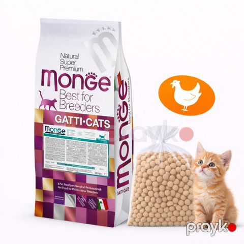 Quru yem Monge Cat Kitten, pişik balaları üçün, toyuq əti ilə, 500 q — Bakı