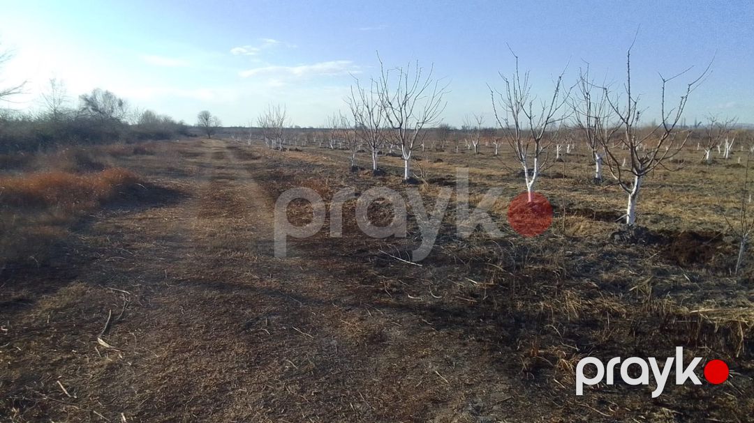 3400 sot torpaq sahəsi, Ağdaş r — Torpaq, Ağdaş (9)