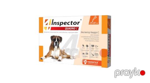 İnspector Quadro kapli,25-40 kq it üçün,1 əd — Bakı