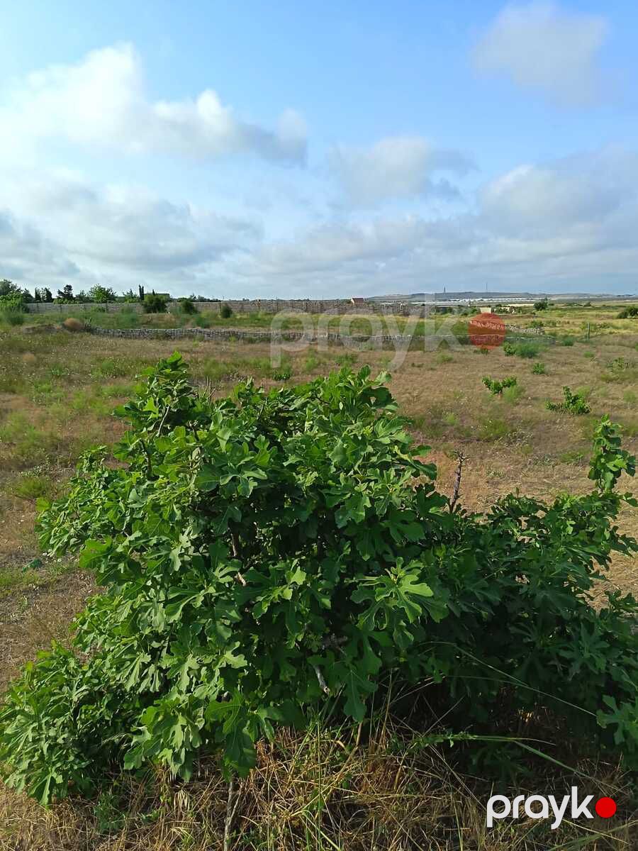Satılır torpaq 40 sot — Torpaq, Bakı (4)
