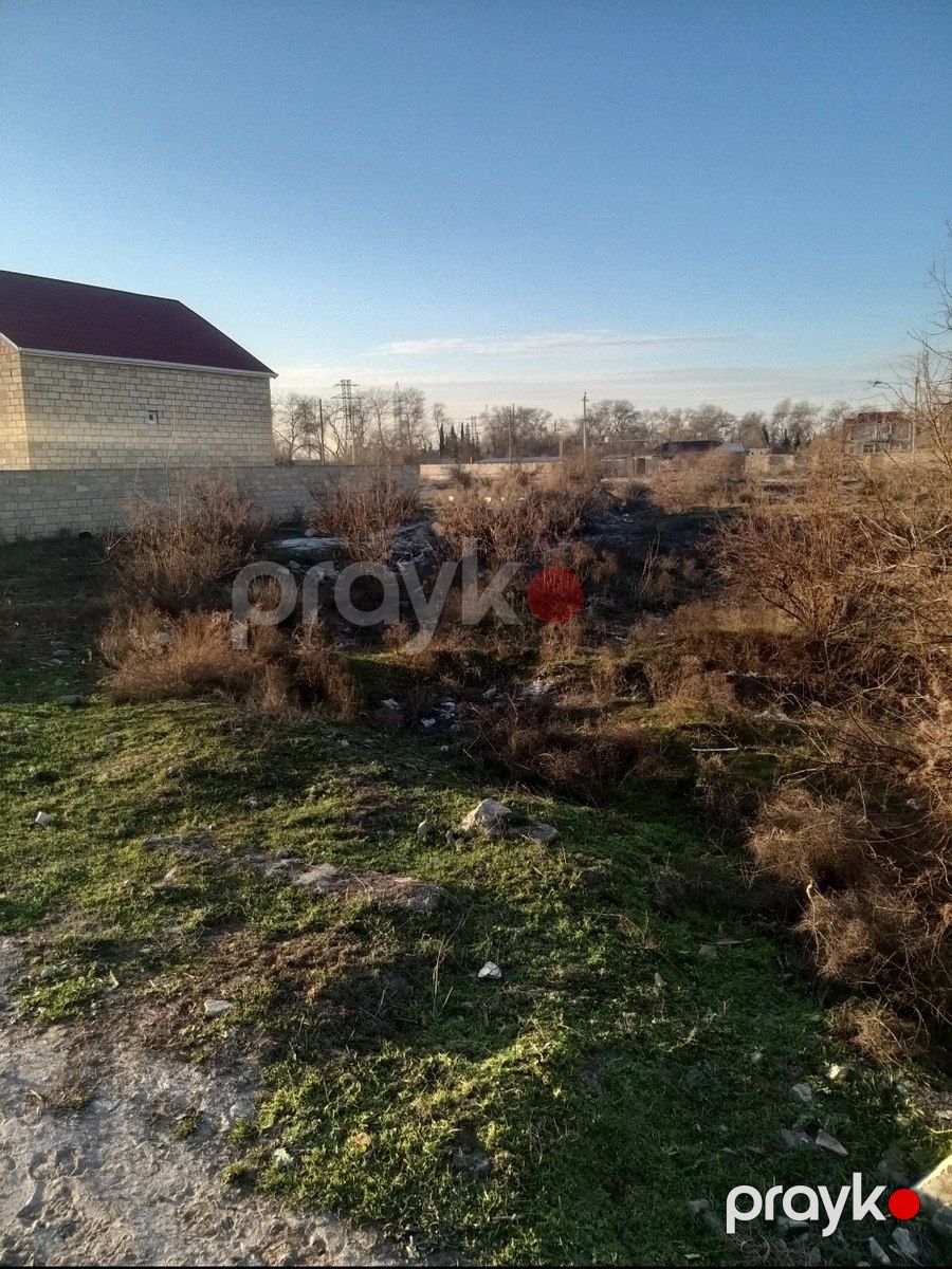 Satılır torpaq 6 sot — Torpaq, Salyan (2)