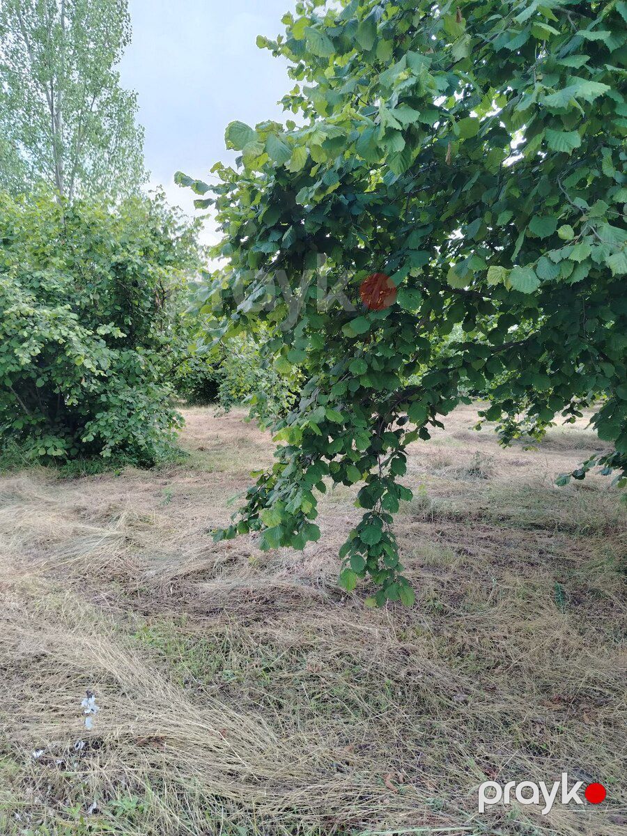 162 sot torpaq sahəsi, Qəbələ ş — Torpaq, Qəbələ (9)