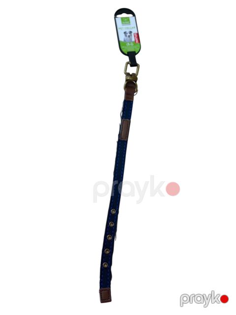 Boyunluq itlər üçün Nunbell, göy — Bakı