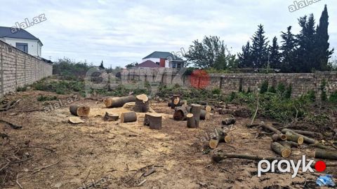 19 sot, Makler, Kupça (Çıxarış) — Bakı