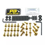 Mototexnika üçün bərkitmə dəsti Pro-Bolt FKA420G — Mallar