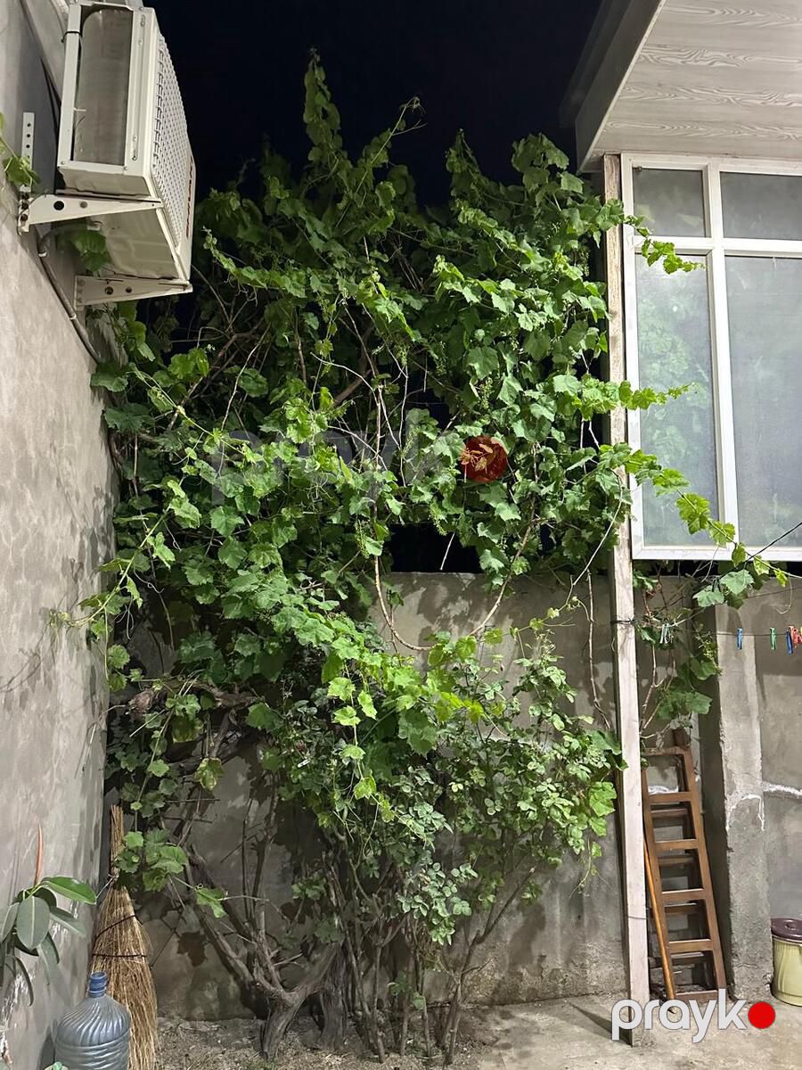 İcarəyə verilir 4 otaqlı həyət evi/bağ evi 85 m² — Ev, villa, Bakı (11)