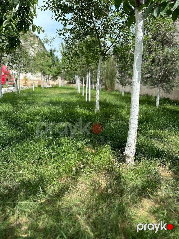 Bağ evi kirayə verilir, Şüvəlan qəs — Ev, villa, Bakı (10)