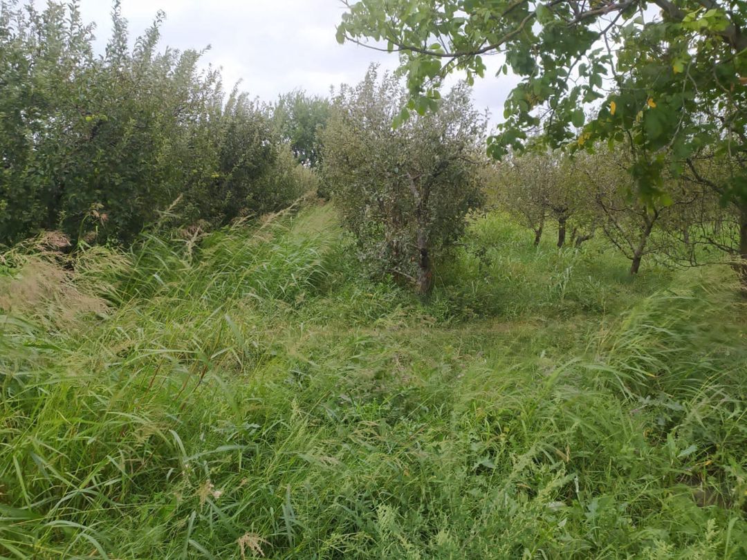 90 sot torpaq sahəsi, Quba r — Torpaq, Quba (3)