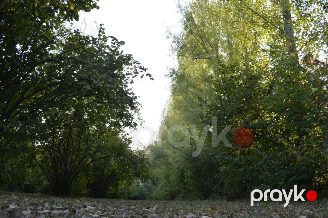 Satılır torpaq 55 sot — Torpaq, Oğuz (10)