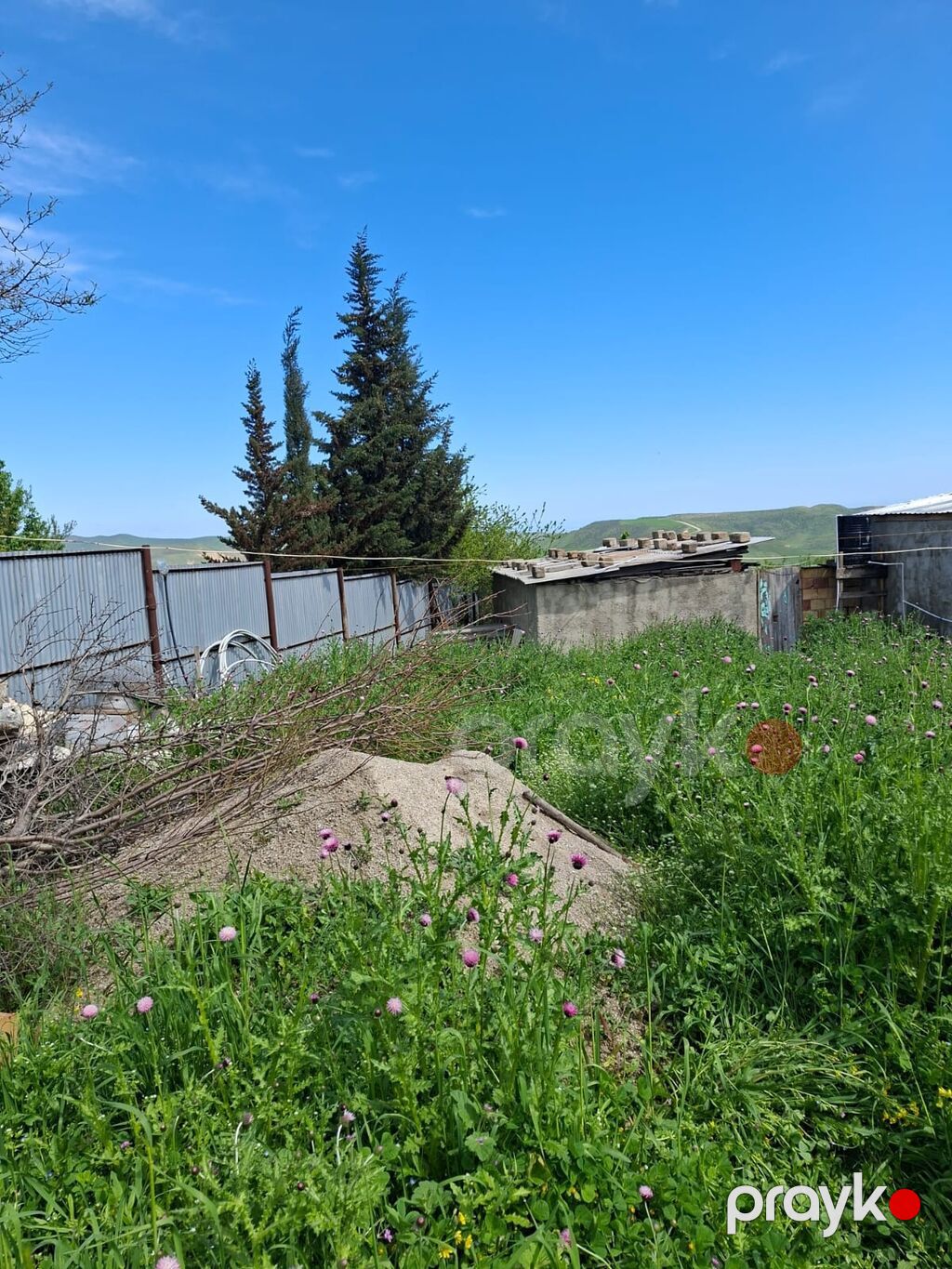 Tikinti — Torpaq, Şabran (3)