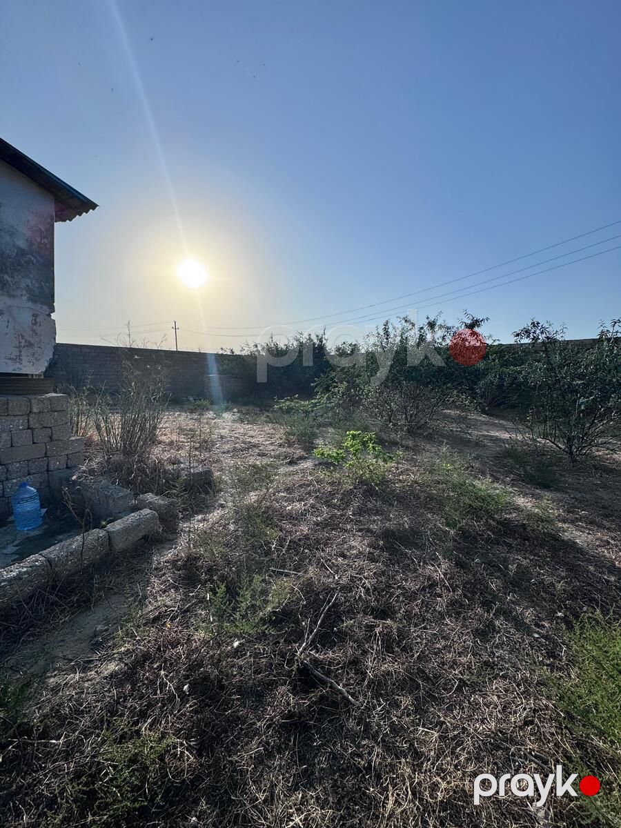 11 sot torpaq sahəsi, Zirə qəs — Torpaq, Bakı (4)