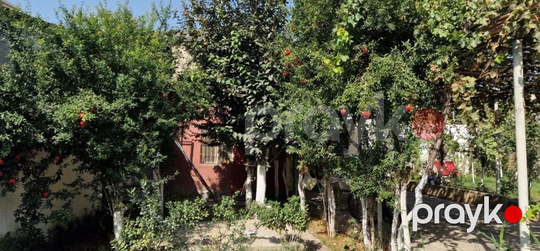 4 sot torpaq sahəsi, Biləcəri qəs — Torpaq, Bakı (6)