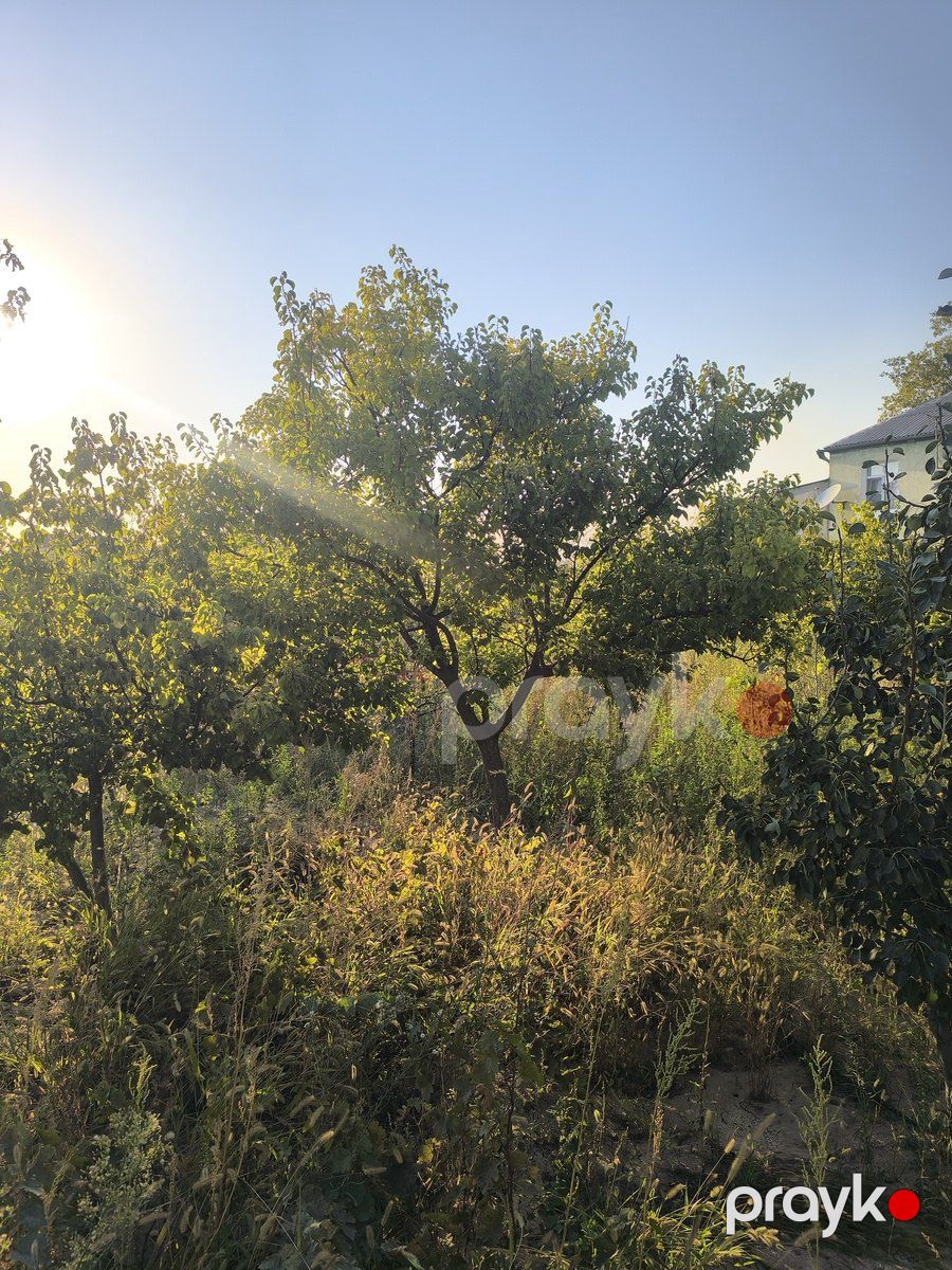 Satılır torpaq 2 sot — Torpaq, Bakı (4)