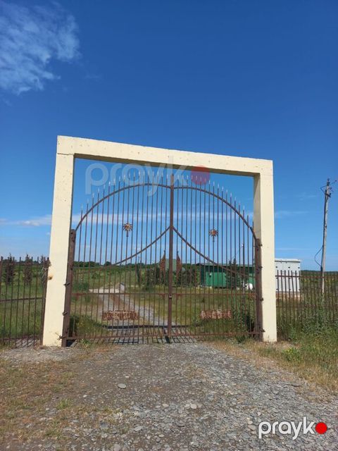 10000 sot torpaq sahəsi, Xaçmaz r — Xaçmaz