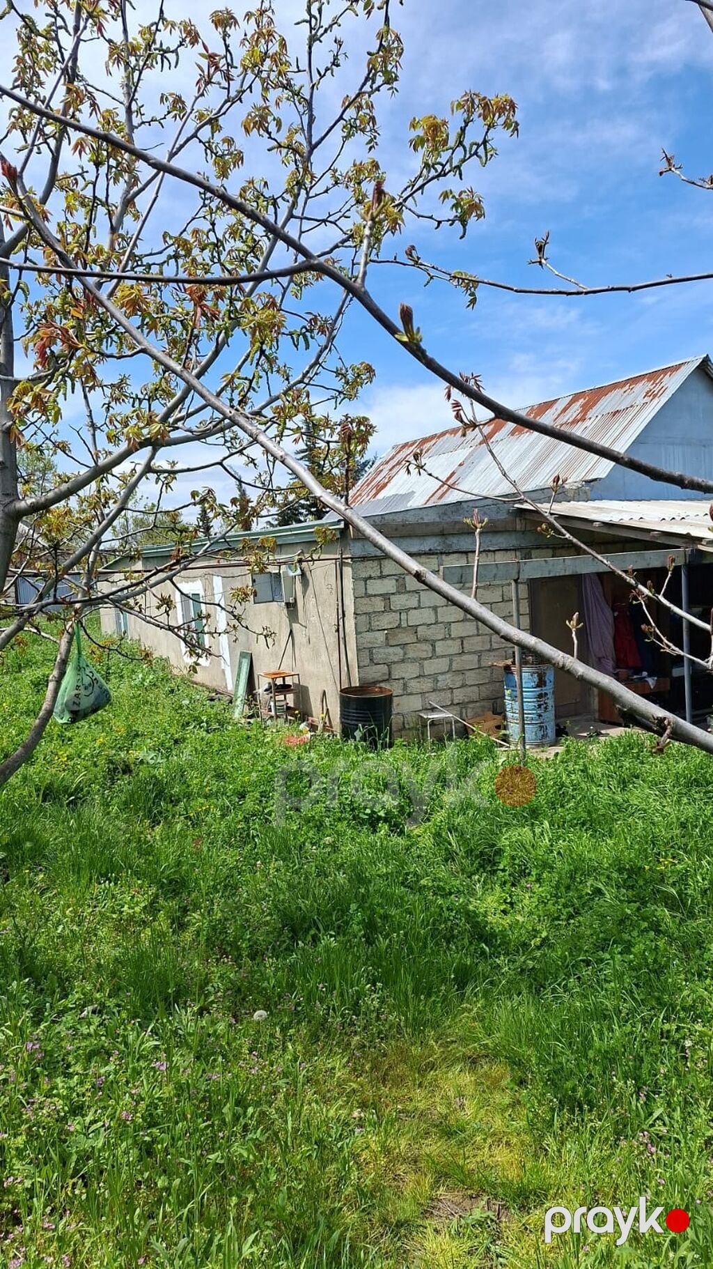 Tikinti — Torpaq, Şabran (5)