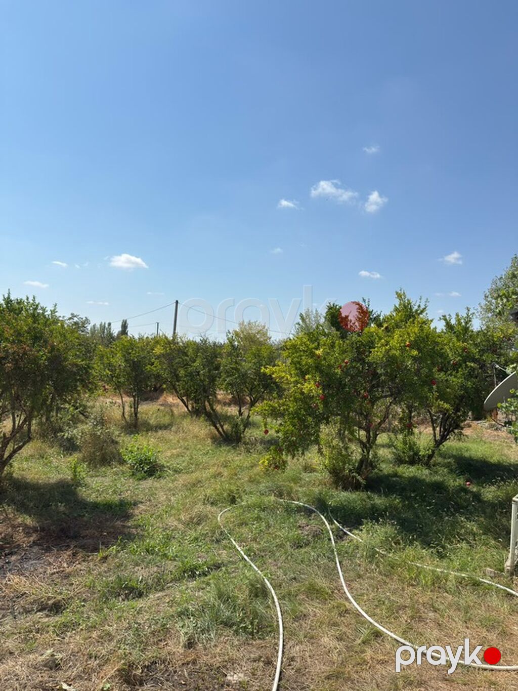 3 otaqlı, 72 kv. m — Ev, villa, Ağsu (5)