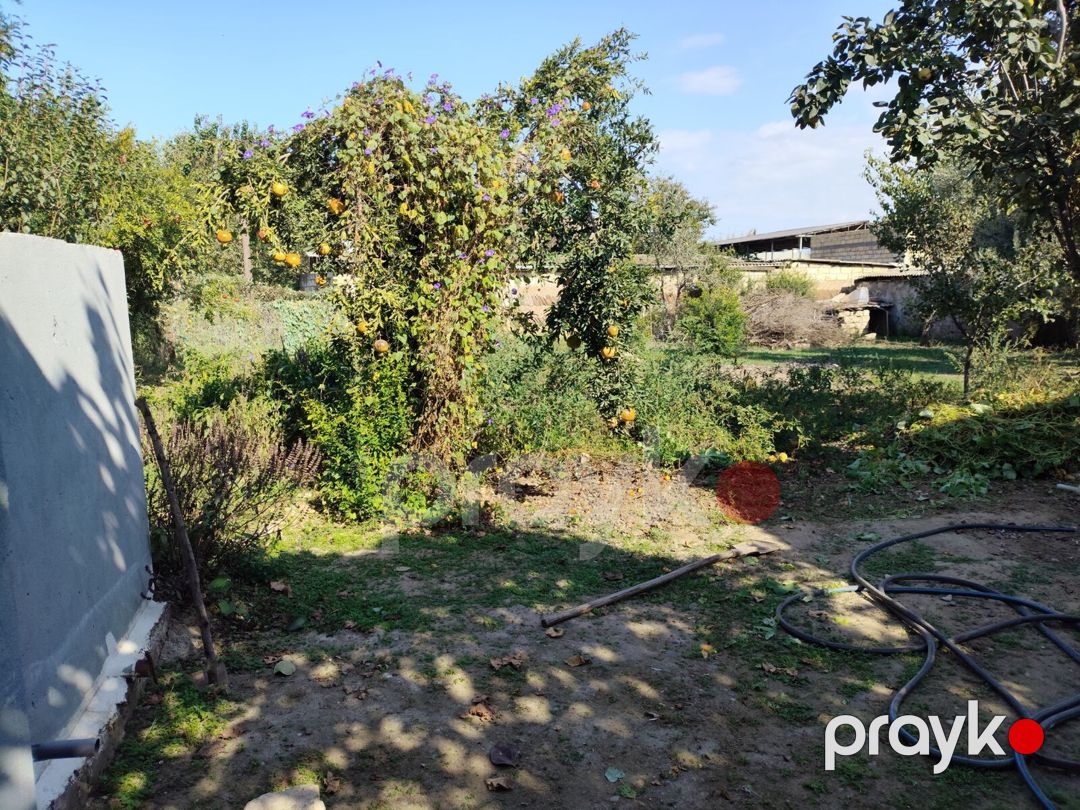 Həyət evi, Biləsuvar r — Ev, villa, Biləsuvar (9)