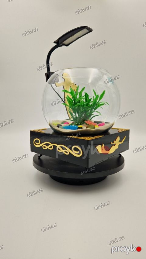Yumru akvarium, Balıqlarla birlikdə, 3 l, Pulsuz çatdırılma — Bakı