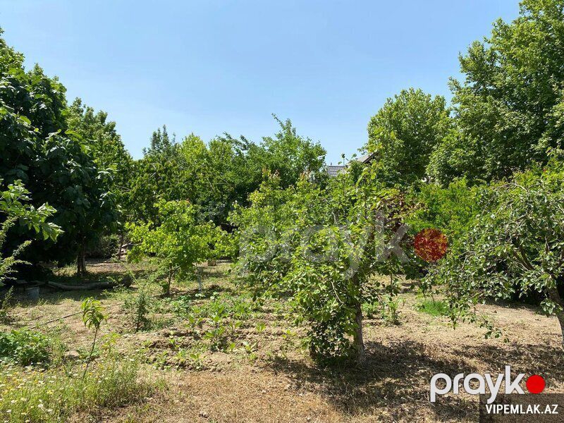 Abşeron rayonunda 1 otaqlı Torpaq Satılır, 12 sot — Torpaq, Bakı (6)