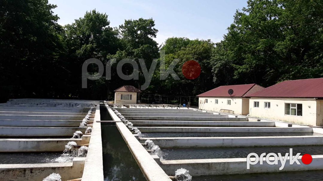 Satılır obyekt 5000 m² — Əmlak, Xaçmaz (2)