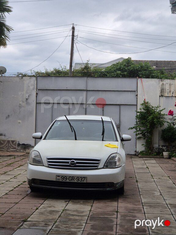 Nissan Teana, 2.3 L, 2003 il, 339 902 km — Avtomobillər, Füzuli (9)