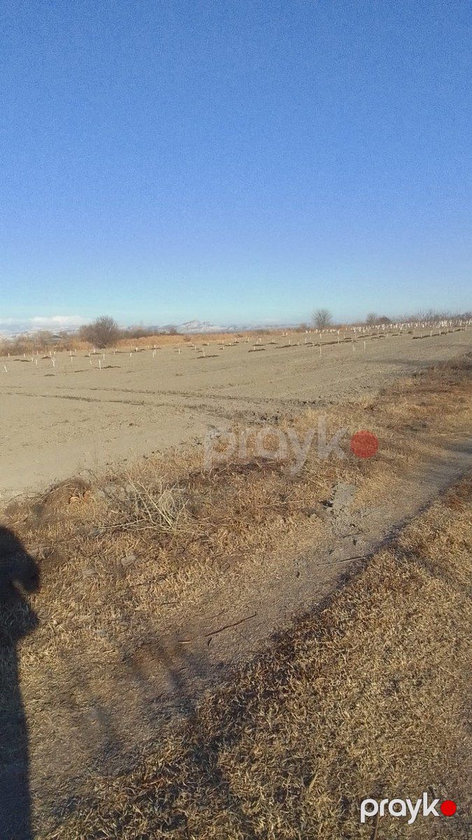 3400 sot torpaq sahəsi, Ağdaş r — Torpaq, Ağdaş (12)