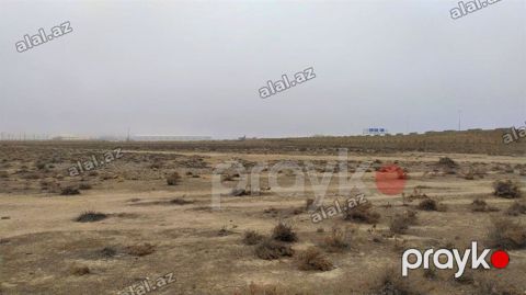 95 sot, Kənd təsərrüfatı, Makler, Kupça (Çıxarış) — Sumqayıt