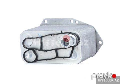 Bmw E39 E46 E38 X5 E53 Kitabca M57 — Bakı