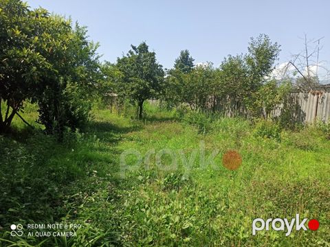 2.5 sot torpaq sahəsi, Zaqatala ş — Zaqatala