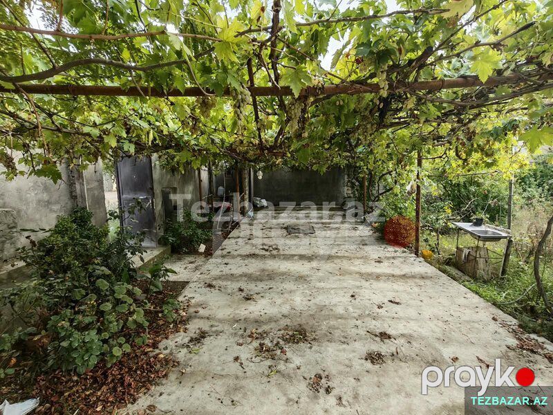 Bagli-Bagcali ev satilir — Ev, villa, Bakı (9)