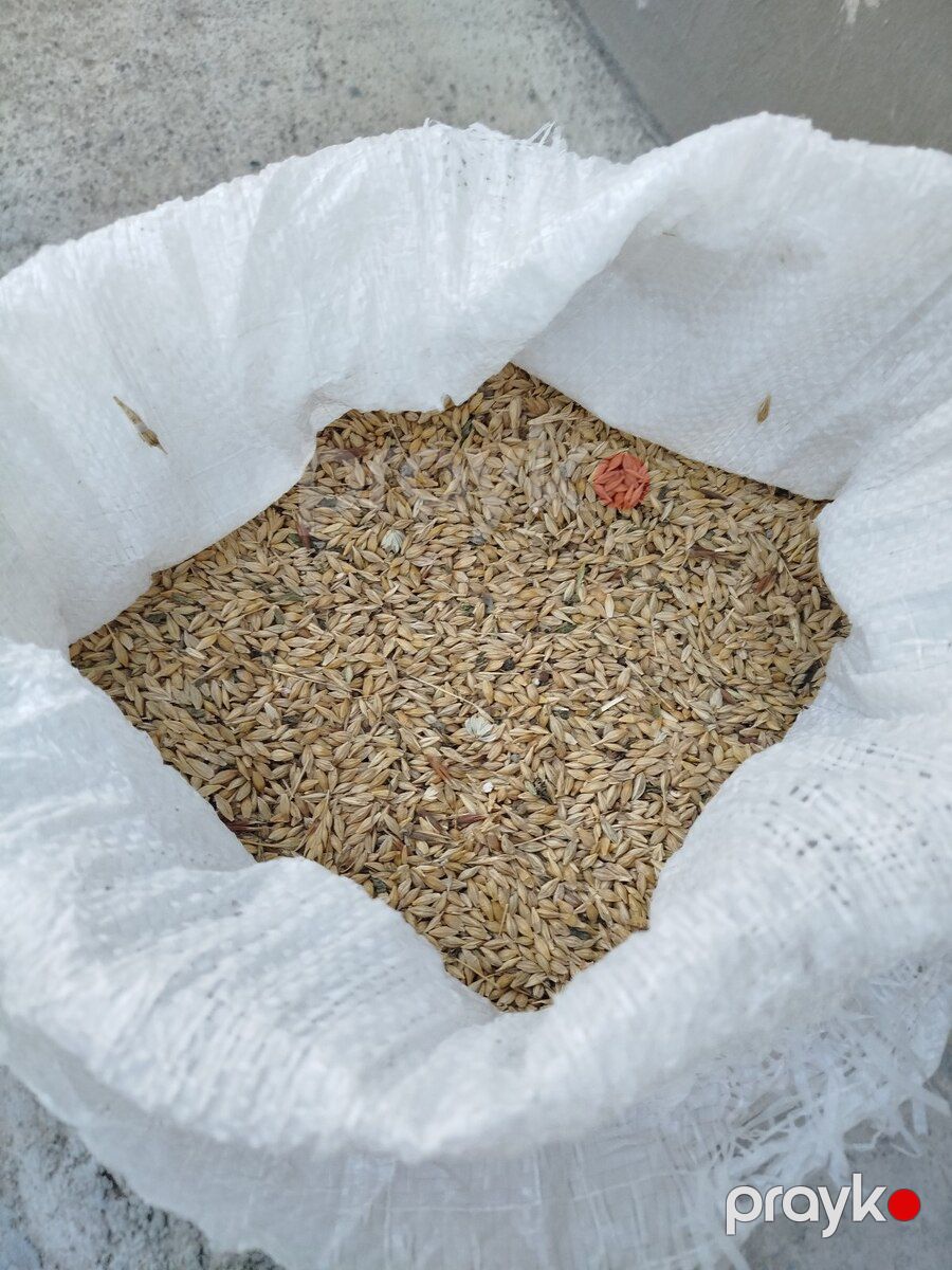 Arpa — Heyvan malları, Siyəzən (4)