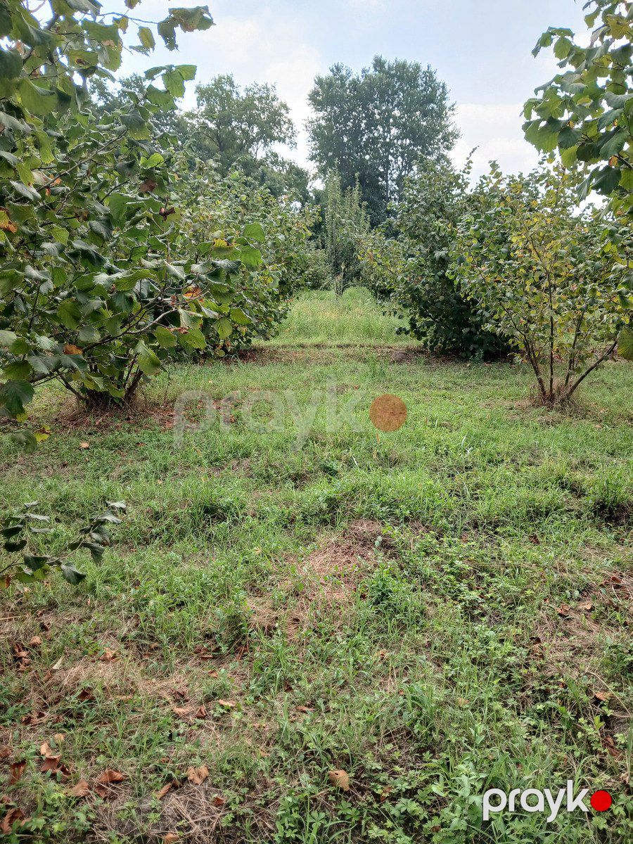 Satılır torpaq 135 sot — Torpaq, Xudat (10)