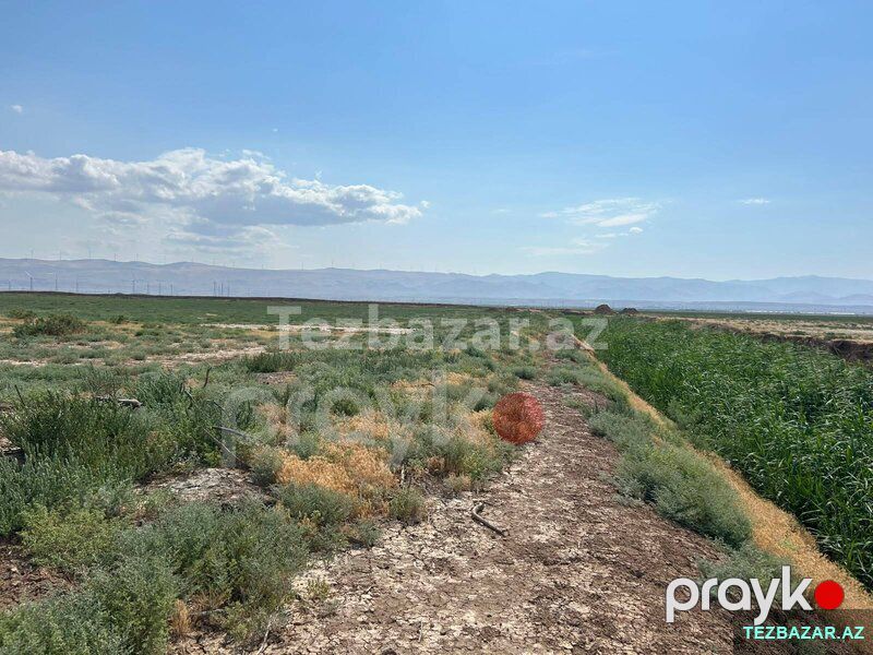 Satılır 511 sot torpaq sahəsi Xızı rayonu — Torpaq, Xızı (5)