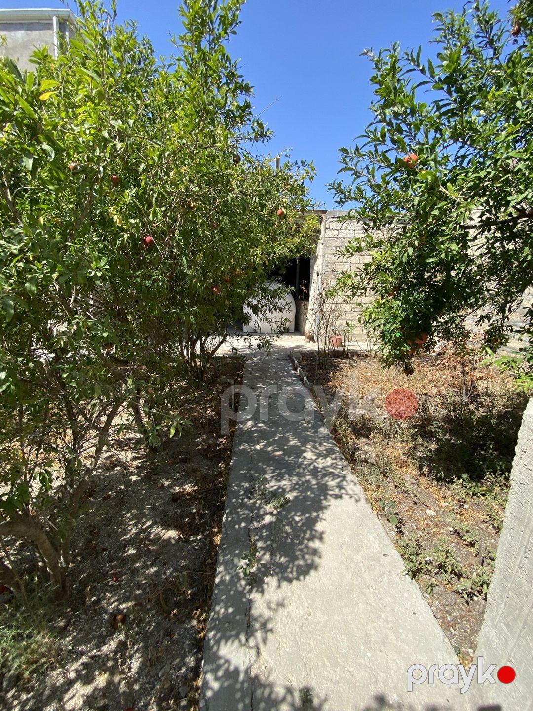 Satılır 7 otaqlı həyət evi/bağ evi 260 m² — Ev, villa, Bakı (11)
