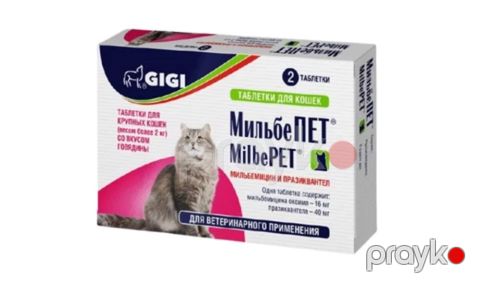 Həb Gigi, 1 əd — Bakı