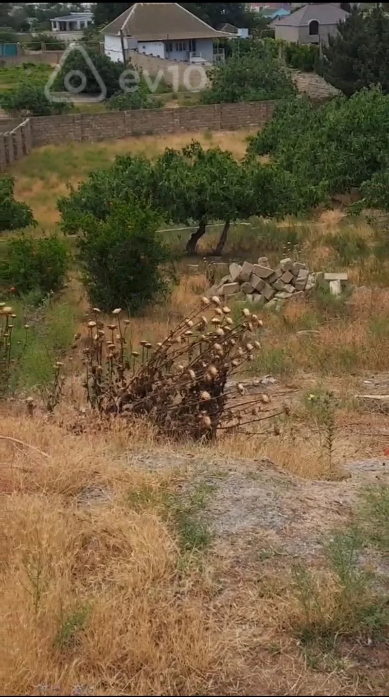 Torpaq sahəsi, 20 sot, Nardaran qəs — Torpaq, Bakı (2)
