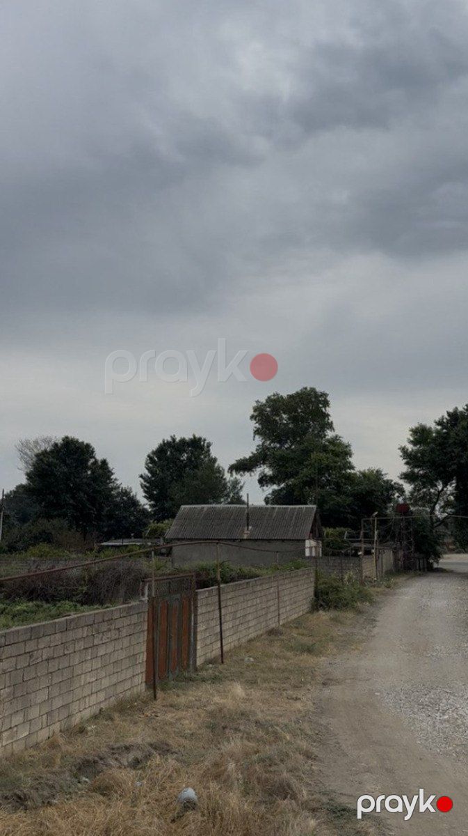 Satılır torpaq 600 sot — Torpaq, Xaçmaz (5)