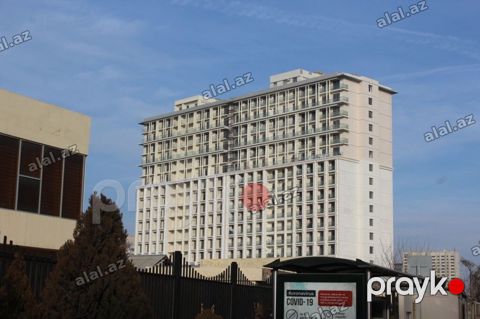 3 otaqlı, Yeni tikili, m. 28 may, 155 kv. m — Bakı