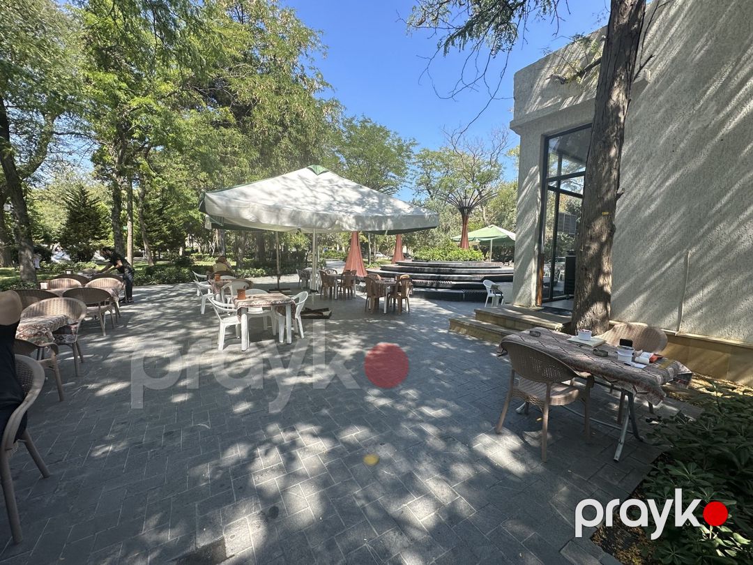 İcarəyə verilir obyekt 92 m² — Əmlak, Bakı (2)