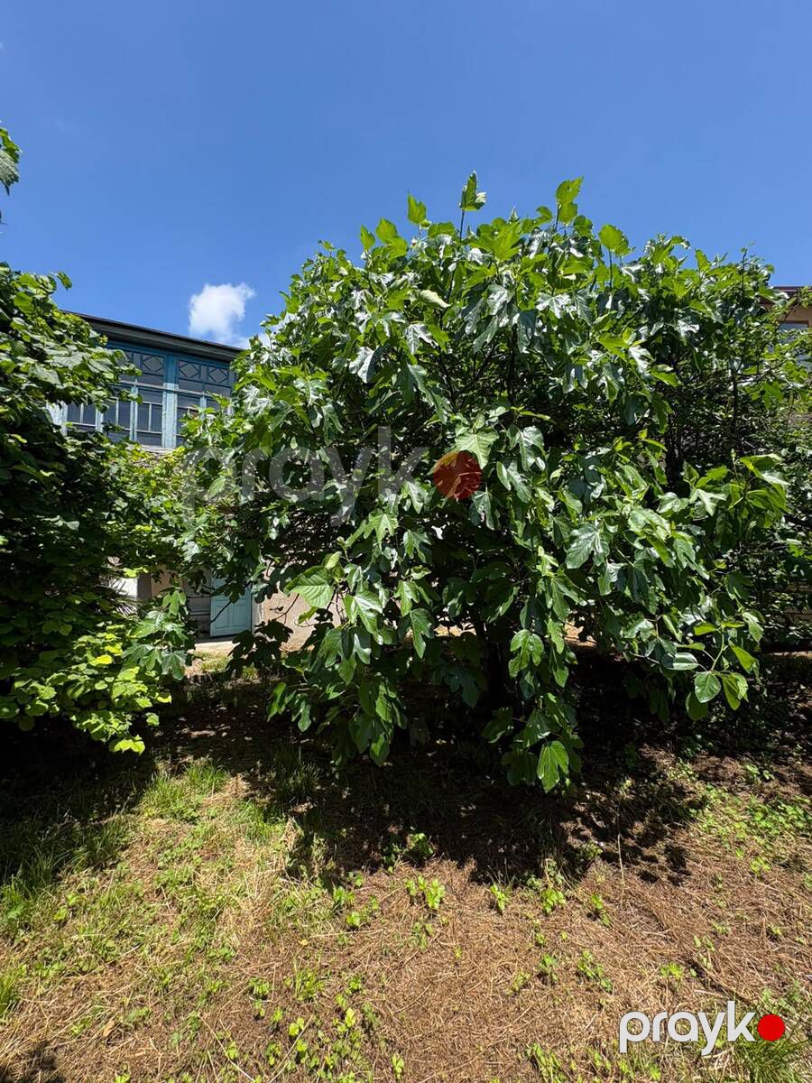 Həyət evi, Qusar r — Ev, villa, Qusar (10)