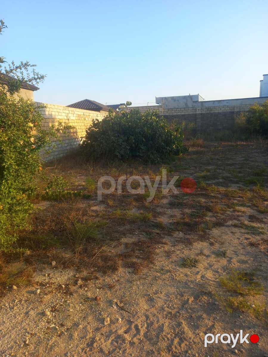 Satılır torpaq 15 sot — Torpaq, Bakı (3)
